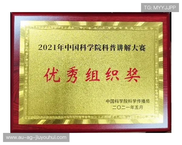 业余足球分组方案解析与比赛组织策略研究