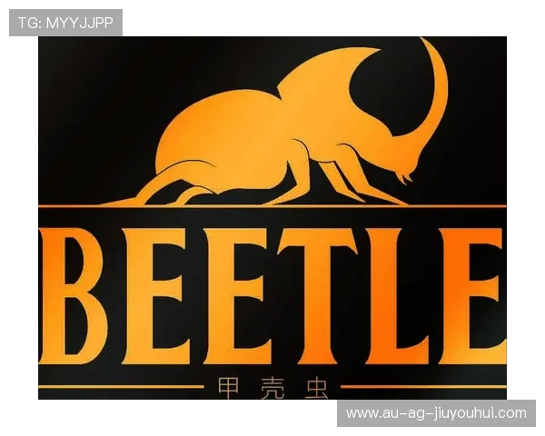 打造全面升级的防尘足球老客专享尊享福利与品质提升深度攻略指南